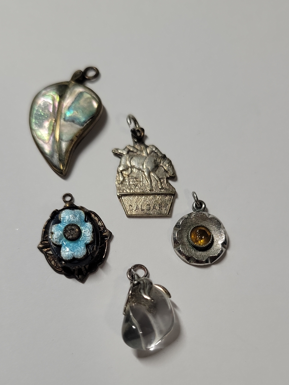 Silver Tone Abalone Leaf and Mixed Charms Lot